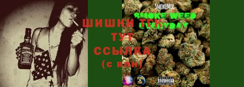 Конопля OG Kush  Богучар 